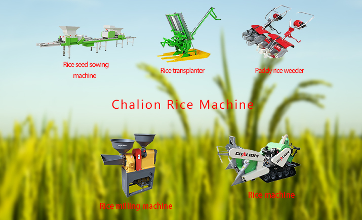 Chalion Has All The Rice Machines You Want